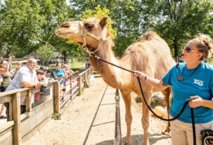 randall oaks zoo