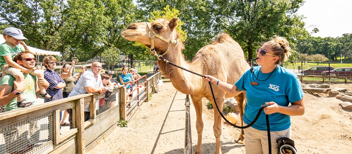 randall oaks zoo